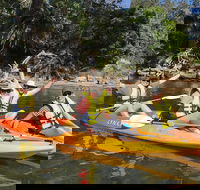 Paddle in Paradise - 4 hours Double Kayak Hire