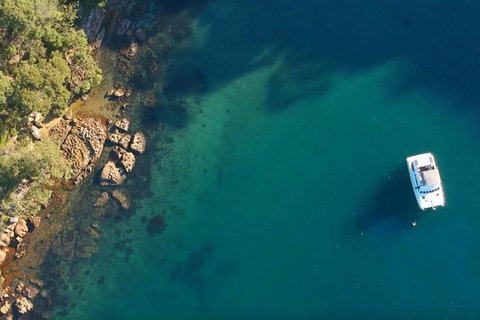 Harbour Sights Lunch Cruise On Sydney Harbour - Accommodation Guide 8