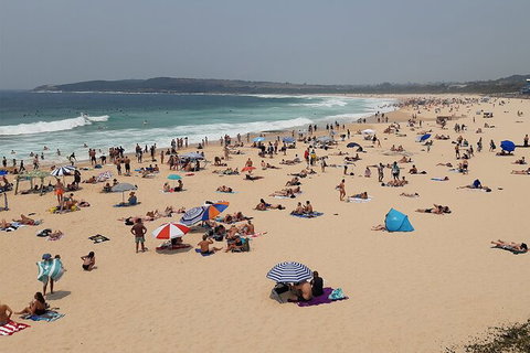 Experience The Real Sydney With Our Signature Tour - Accommodation Asia 7