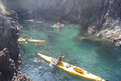 Batemans Bay Full Day Sea Kayak Tour With Beach Picnic Lunch - Accommodation Guide 5