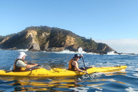 Batemans Bay Full Day Sea Kayak Tour With Beach Picnic Lunch - Accommodation Guide 4