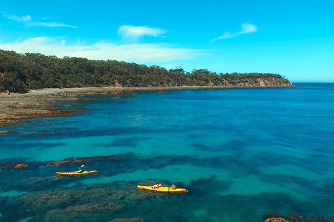Batemans Bay Full Day Sea Kayak Tour With Beach Picnic Lunch - Accommodation Guide 7