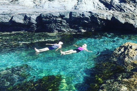 Batemans Bay Full Day Sea Kayak Tour With Beach Picnic Lunch - Accommodation Guide 6