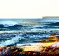 7-Day Byron Bay Evans Head and Moonee Beach Surf Safari from Brisbane Gold Coast or Byron Bay - Accommodation Asia