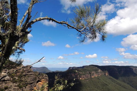 Blue Mountains Small-Group Insider Tour From Sydney - Accommodation Asia 1