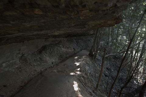 Blue Mountains Small-Group Insider Tour From Sydney - Accommodation Asia 20