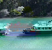 Brunswick Heads Rainforest Eco-Cruise - Accommodation Asia