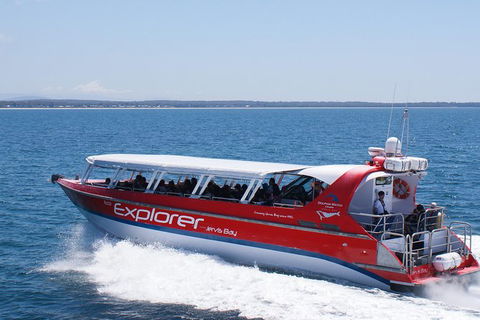Whale Watching Jervis Bay - Accommodation Asia 5