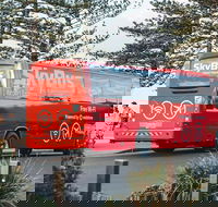 SkyBus Byron Bay Express - Accommodation Asia