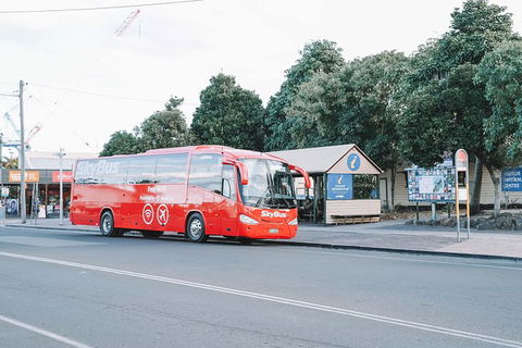 SkyBus Byron Bay Express - Accommodation Guide 1