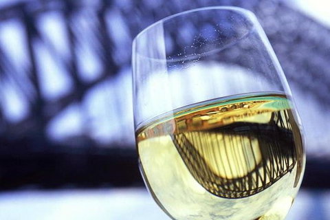 Water Limousines Sparking Wine Sunset Cruise Sydney Harbour - Accommodation Guide 0