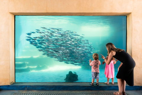 AQWA The Aquarium Of Western Australia - Accommodation Asia 0