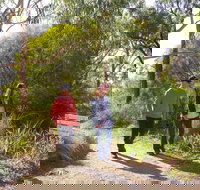 Arthurs Seat Circuit Walk - Accommodation Guide