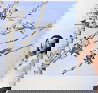 Bingara Gallery - Accommodation China