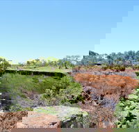 Bladensburg National Park - Accommodation Guide
