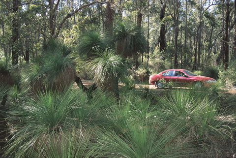 Bridgetown Jarrah Park - Accommodation Asia 0