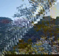 Canyon Picnic Area - Accommodation Asia