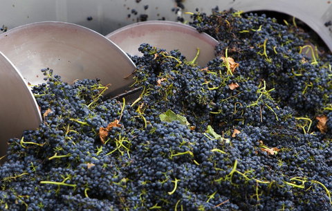 Coldstream - Accommodation Asia 0