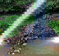 Crystal Shower Falls Walk - Accommodation China