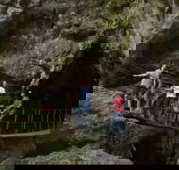 Dig the Tropic - Accommodation China