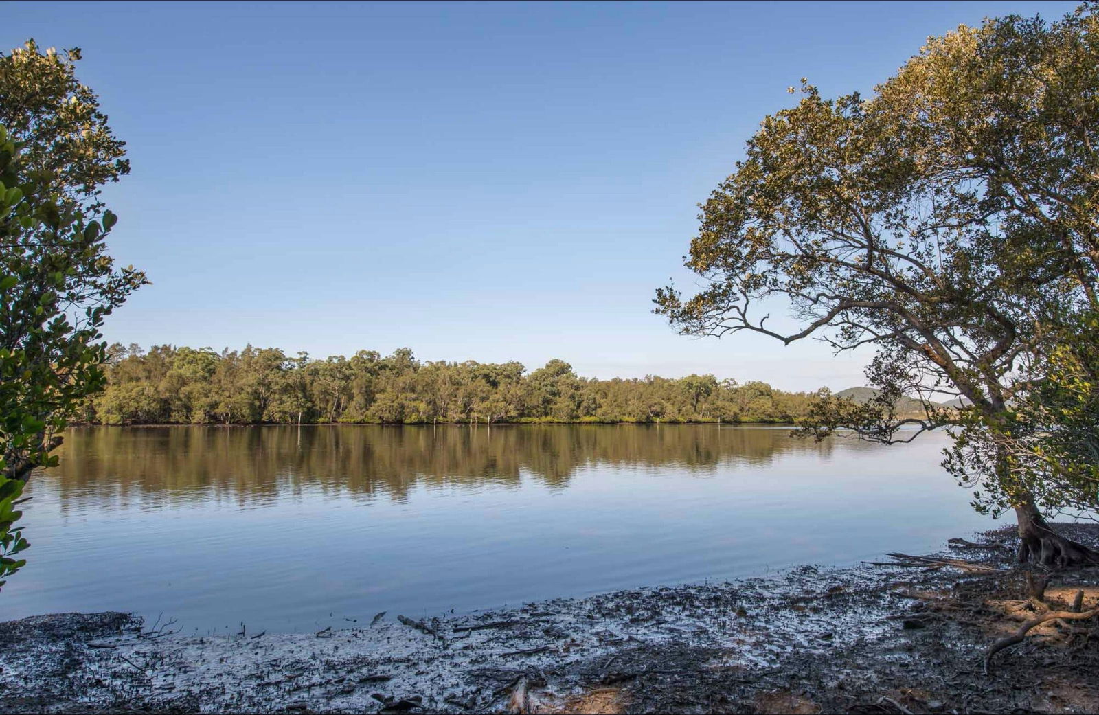 Limeburners Creek NSW Accommodation Asia