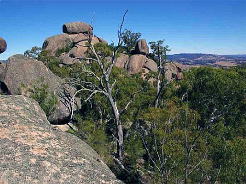 Evans Crown Nature Reserve - Accommodation Guide 0