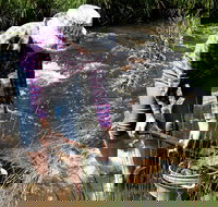 Fossicking - Accommodation China