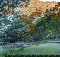 Griffins walking track - Accommodation Asia