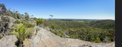 Hale Conservation Park - Accommodation Guide 0