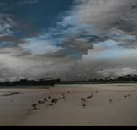 Hardwicke Bay - Accommodation Asia