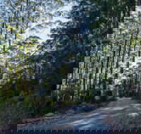 Hastings Forest Way Touring Route - Accommodation Guide