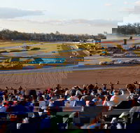 Ipswich Motorsport Precinct - Accommodation Guide
