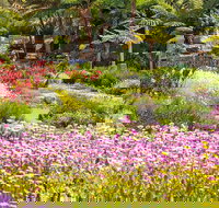 Jurassic Garden AR Experience - Accommodation Asia