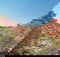 Lark Quarry Conservation Park - Accommodation Guide