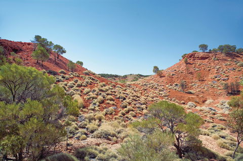 Lark Quarry Conservation Park - Accommodation Guide 0