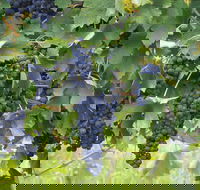 Luskintyre - Accommodation China