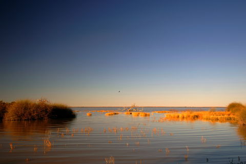 Malkumba-Coongie Lakes National Park - Accommodation Guide 0