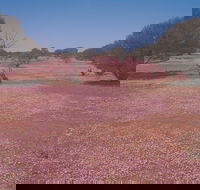 Meekatharra - Accommodation Guide