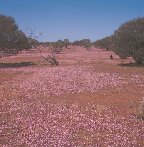 Meekatharra - Accommodation Guide 0