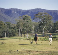 Megalong Valley - Accommodation Guide