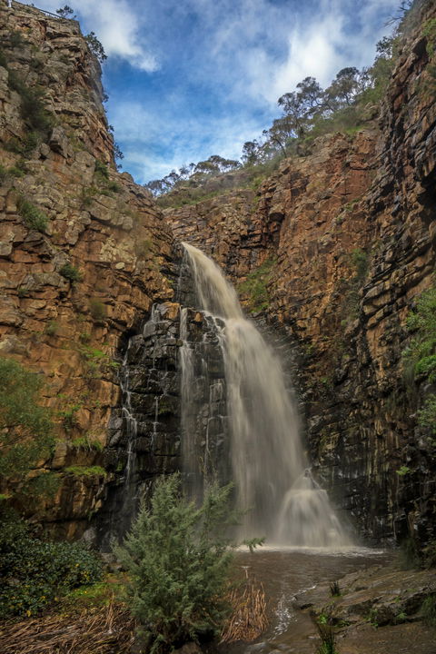 Morialta Conservation Park - Accommodation Guide 0