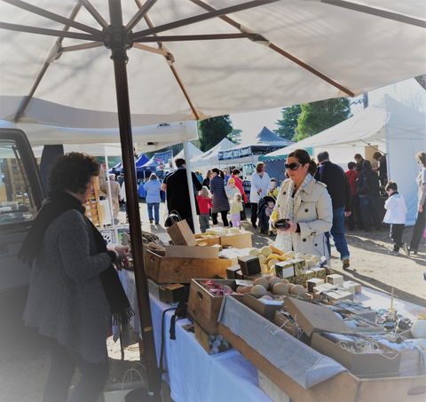 Mornington Racecourse Market - Accommodation Asia 0