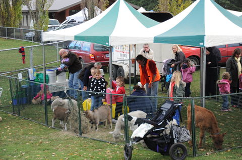 Mornington Racecourse Market - Accommodation Asia 2