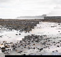 Mushroom Reef Beach - Accommodation Asia
