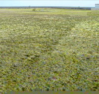 Nilla Yannagalang Billana - Accommodation Asia