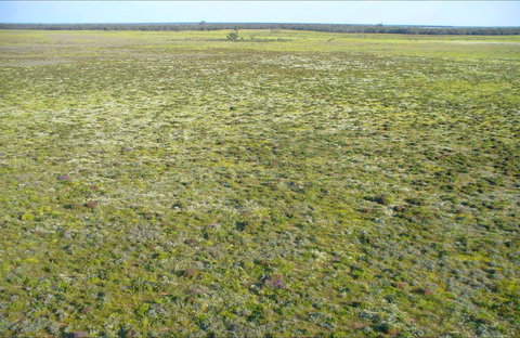 Nilla Yannagalang Billana - Accommodation Asia 0