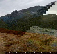 Nowendoc National Park - Accommodation Asia