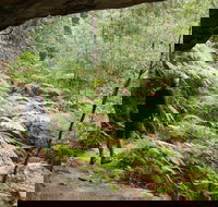 Old Great North Road Bike Ride - Accommodation Asia