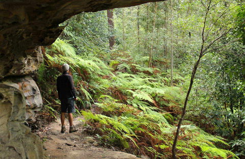 Old Great North Road Bike Ride - Accommodation Asia 0