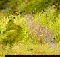 Perseverance - Accommodation China